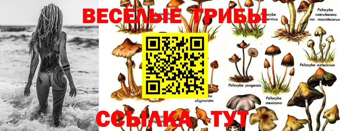 Рязань  Галлюциногенные грибы Psilocybe  Вход с VPN  Галлюциногенные грибы MAGIC MUSHROOMS 